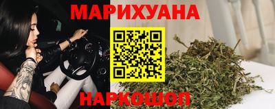 гидропоника Камышлов