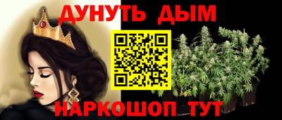 гидропоника Камышлов