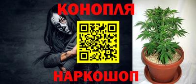 гидропоника Камышлов