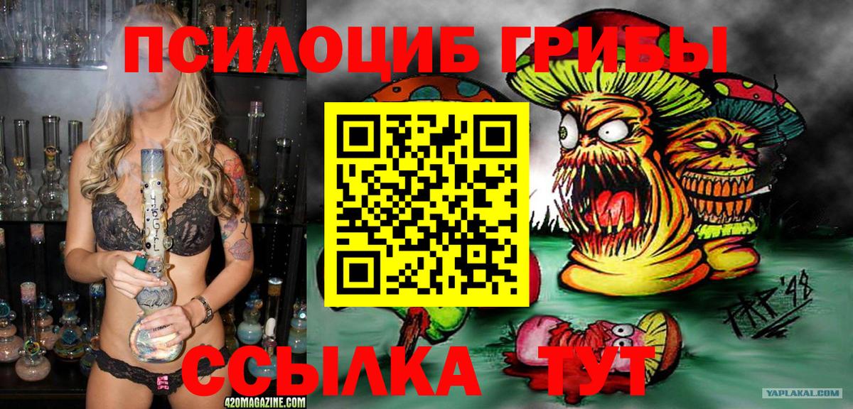Галлюциногенные грибы Magic Shrooms  Галлюциногенные грибы прущие грибы  Вход с VPN  Куйбышев 